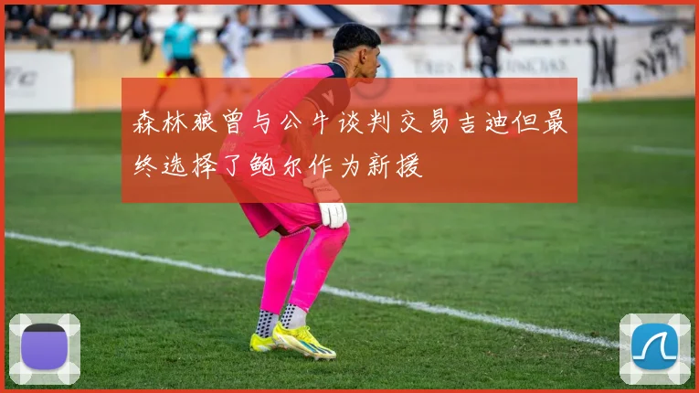 森林狼曾与公牛谈判交易吉迪但最终选择了鲍尔作为新援
